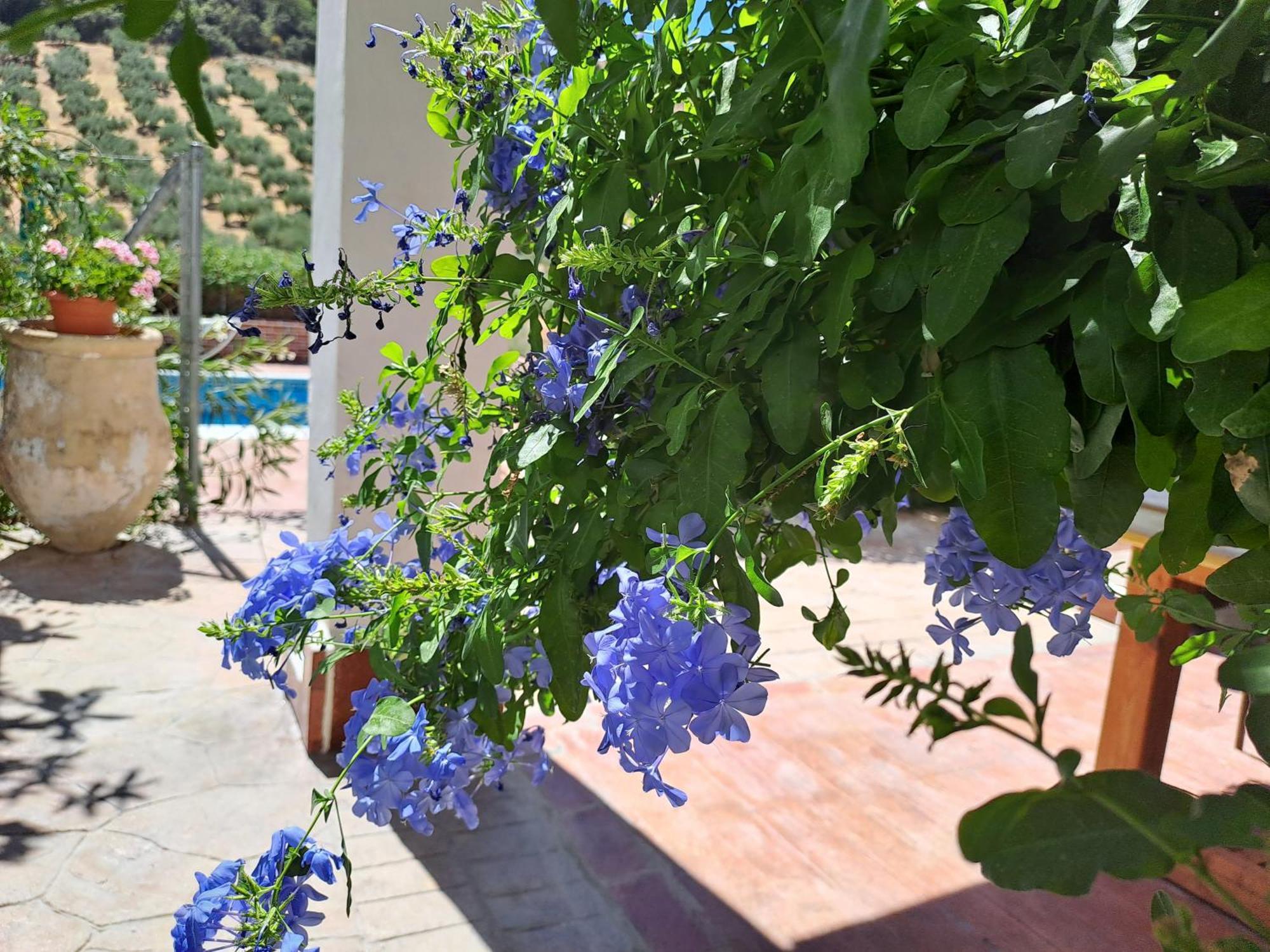 Villa Cortijo Berruguilla Lojilla Exterior foto